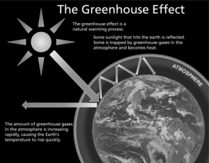 The Greenhouse Effect