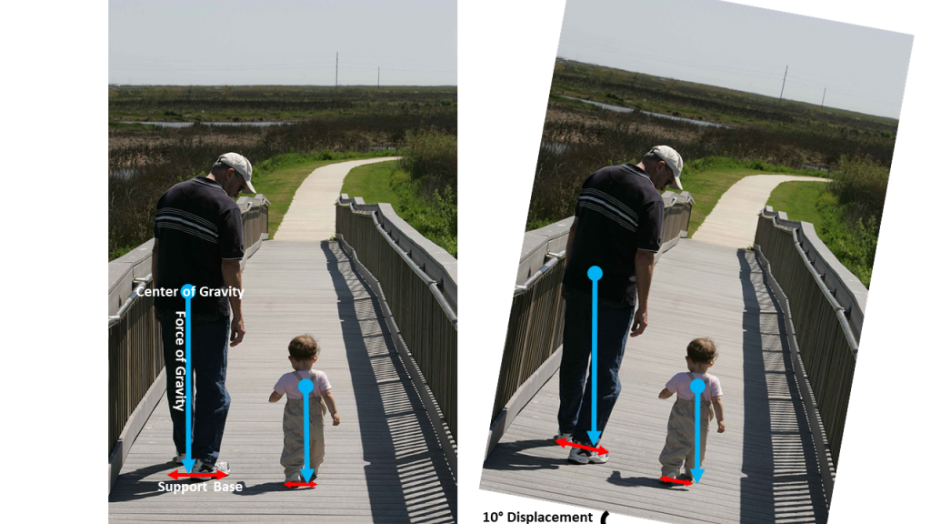 Left: An adult and toddler walk side-by-side. The gravitational force points downward from the center of gravity of the adult, located at their waist. The force of gravity passes through a line connecting the two feet to indicate the support base width. The gravitational force on the toddler points downward from the center of gravity, located between the shoulder blades. The force of gravity passes through a line connecting the two feet to indicate the toddler support base width. Right: The same diagram is not tilted by an angle of 10 degrees. The force of gravity in each case still points straight down and for the adult still passes through a line connecting their feet to indicate the support base width. The gravitational force on the toddler no longer passes through a line connecting their feet to indicate the support base width.