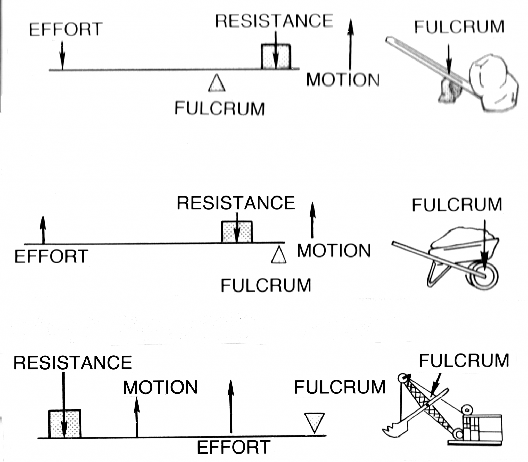 Body Levers Introduction to Exercise Science for Fitness Professionals