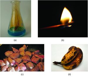 (a) Copper and nitric acid reacting to form blue copper nitrate and brown, gaseous nitrogen dioxide. (b) A match burning (c) Red meat browning (d) A banana rotting