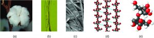 These images provide an increasingly closer view: (a) a cotton boll, (b) a single cotton fiber viewed under an optical microscope (magnified 40 times), (c) an image of a cotton fiber obtained with an electron microscope (much higher magnification than with the optical microscope); and (d and e) atomic-level models of the fiber (spheres of different colors represent atoms of different elements).