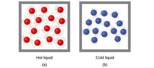 Two molecular drawings are shown and labeled a and b. Drawing a is a box containing fourteen red spheres that are surrounded by lines indicating that the particles are moving rapidly. This drawing has a label that reads “Hot liquid.” Drawing b depicts another box of equal size that also contains fourteen spheres, but these are blue. They are all surrounded by smaller lines that depict some particle motion, but not as much as in drawing a. This drawing has a label that reads “Cold liquid.”