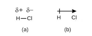 (a) The symbols δ+ and δ– are notated above H-Cl. δ+ is notated above H indicating H has a partial positive charge. δ– is notated above Cl indicating Cl has a partial negative charge. (b) A dipole arrow is notated above H Cl. The arrow points towards the Cl side of the bond, indicating electrons are more attracted to the Cl atom. The opposite end of the arrow has a + sign above H, indicating H has a partial positive charge due to the pull of electrons towards Cl.
