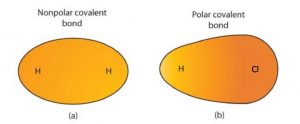 (a) A nonpolar covalent bond shows equal sharing of electrons in the bond between two H atoms. (b) A polar covalent bond shows unequal sharing of electrons in the bond between a H atom and a Cl atom. The electrons are pulled toward the Cl atom.