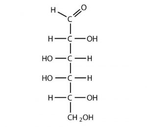 A Lewis structure of D-galactose