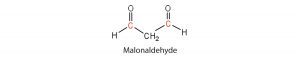 Lewis structure of malonaldehyde