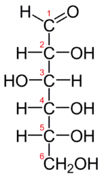 A Lewis structure of D-glucose