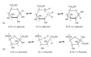The cyclization of (a) D-(+)-glucose and (b) D-(-)-fructose are shown. Both alpha and beta cyclic forms are depicted.
