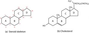 (A) The four-fused-ring steroid skeleton uses letter designations for each ring and the numbering of the carbon atoms. (b) The cholesterol molecule follows this pattern.