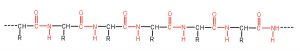 The structure of a peptide chain showing the connection of each amino acid unit. The carbon of one amino acid is connected through a peptide bond to the nitrogen of the next amino acid. This repeats throughout the peptide chain.