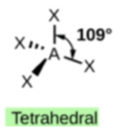 The shape of a generic tetrahedral molecule is shown. The central atom is bonded to four outer atoms by four bonds. Each bond is arranged at a 109.5 degree angle from all other bonds.