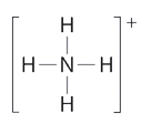The lewis structure of ammonia is shown. The central nitrogen atom is connected to four hydrogen atoms each by one single bond.