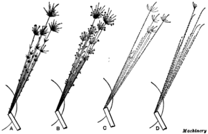 Black line drawings of sparks for spark testing various types of steel.