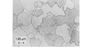 Optical micrograph of ferrite microstructure