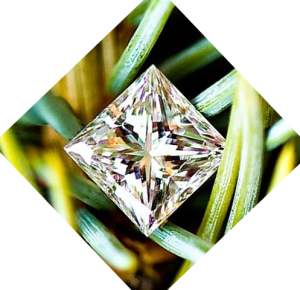 Photograph of a princess-cut diamond on point with green plant background