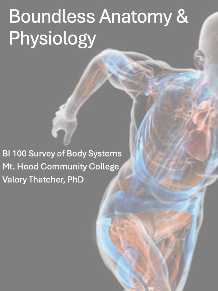 Cover image for Boundless Anatomy and Physiology